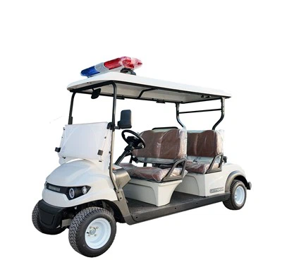 AC motor Golf vozilo